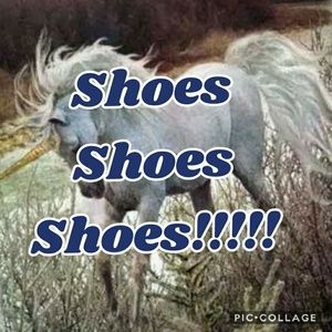 Shoes shoes and more shoes!